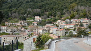 Lutte Contre Les Nuisibles Sevran